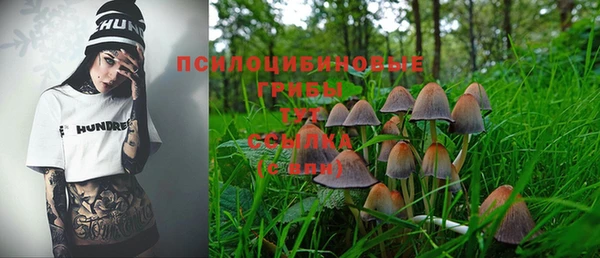 индика Абинск