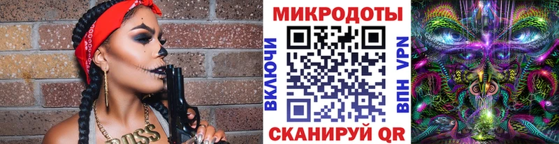 Псилоцибиновые грибы мицелий  это официальный сайт  Губкин 
