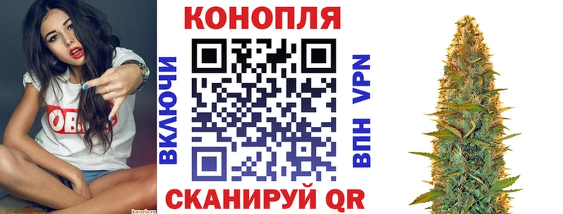kraken ССЫЛКА Губкин Бошки марихуана план